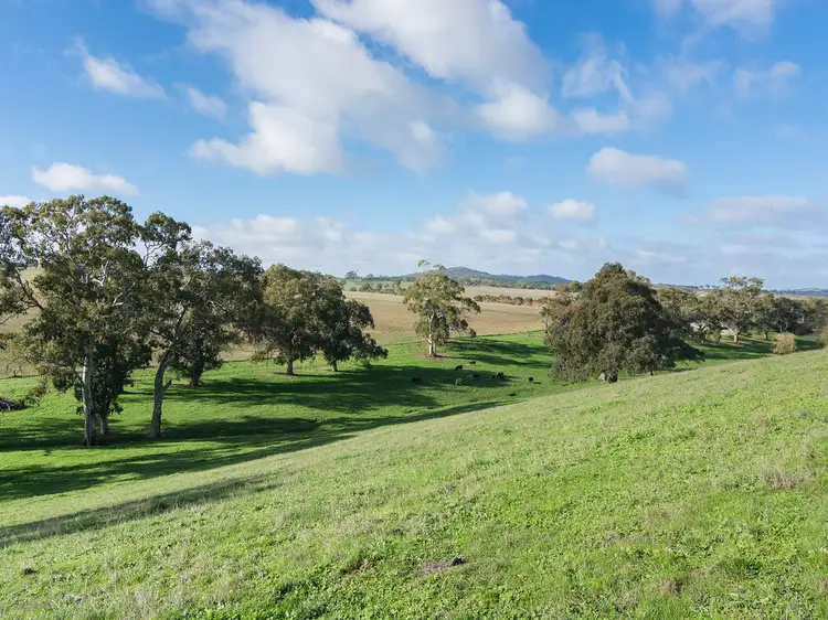 Main view of Homely rural property listing, 413 Old Princes Highway, Nairne SA 5252