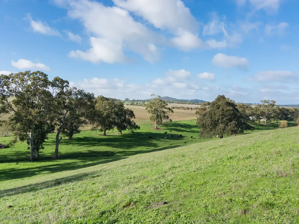Main view of Homely rural property listing, 413 Old Princes Highway, Nairne SA 5252