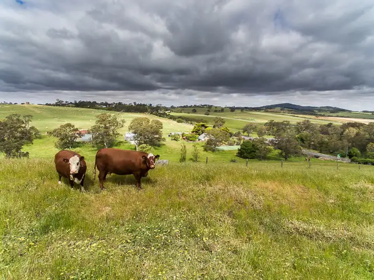 Third view of Homely rural property listing, 413 Old Princes Highway, Nairne SA 5252