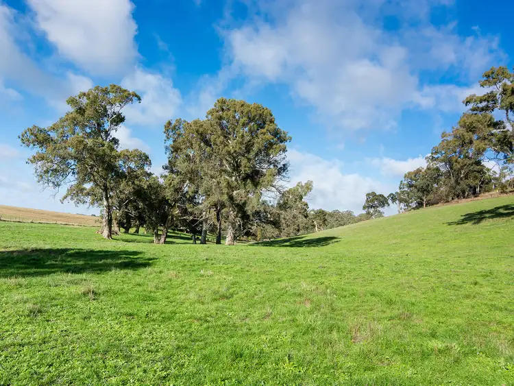 Sixth view of Homely rural property listing, 413 Old Princes Highway, Nairne SA 5252