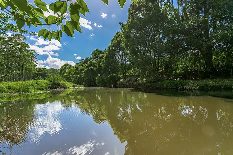 Sixth view of Homely rural property listing, 264 Arthur Road, Corndale NSW 2480