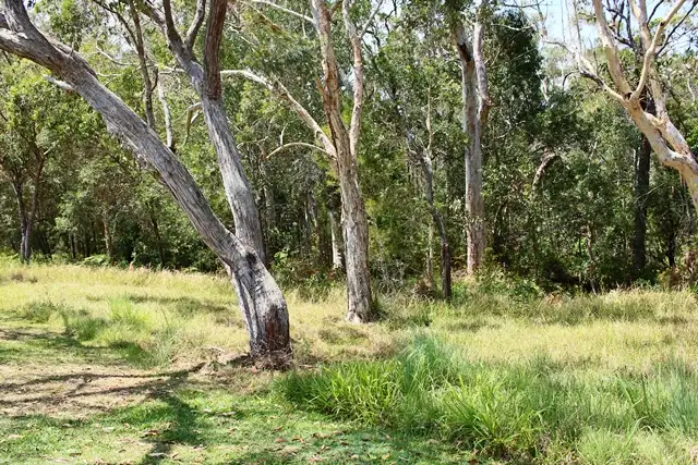 Sixth view of Homely land listing, 41 Fyshburn Drive, Cooloola Cove QLD 4580