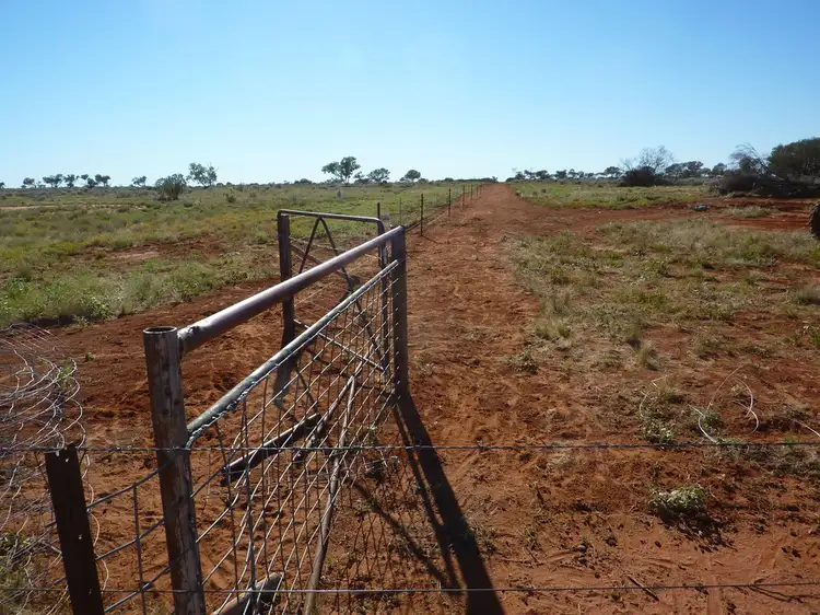 Seventh view of Homely rural property listing, 434 Hungerford Road, Thargomindah QLD 4492