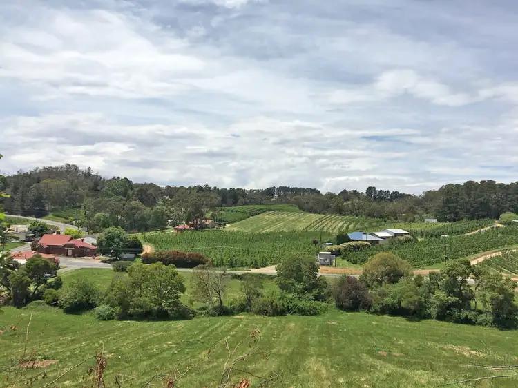 Third view of Homely land listing, Lot 101 Swamp Road, Lenswood SA 5240
