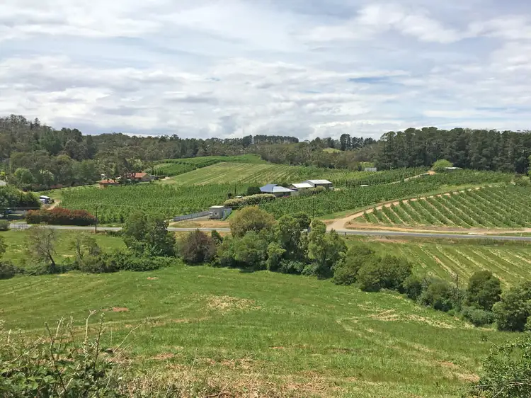 Seventh view of Homely land listing, Lot 101 Swamp Road, Lenswood SA 5240