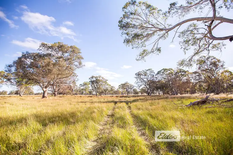 Sixth view of Homely rural property listing, 227 Possinghams Road, Naracoorte SA 5271