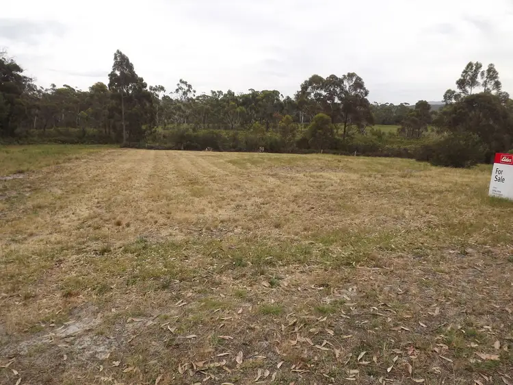 Main view of Homely land listing, 16 Kathleen Drive, Bemm River VIC 3889