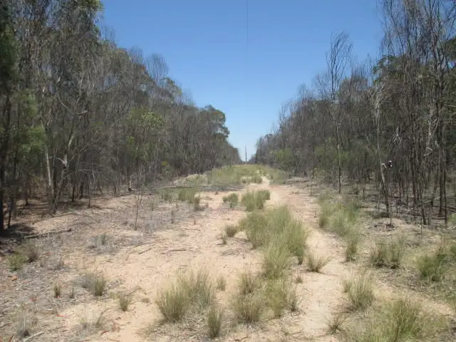 Third view of Homely rural property listing, LOT 39 BISLEY ROAD, Tara QLD 4421