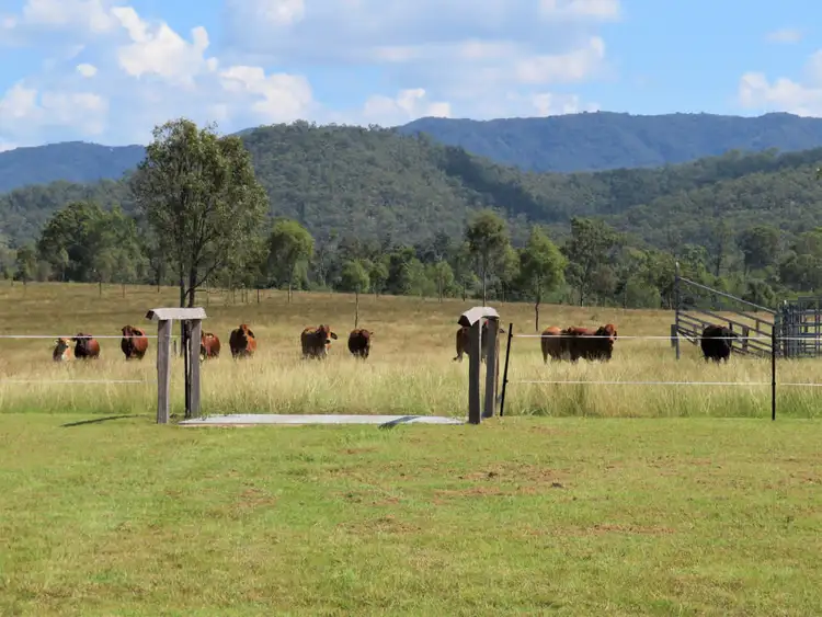 Main view of Homely rural property listing, 820 Blackman Gap Road, Colosseum QLD 4677
