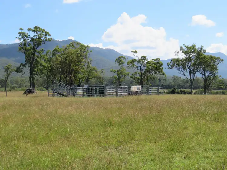 Fifth view of Homely rural property listing, 820 Blackman Gap Road, Colosseum QLD 4677