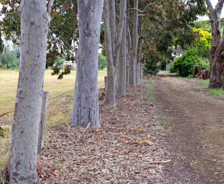 Fifth view of Homely land listing, 7 RODEN LANE, Penola SA 5277