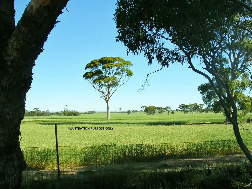 Main view of Homely rural property listing, Lot 129 Wyalkatchem-Koorda Rd, Koorda WA 6475
