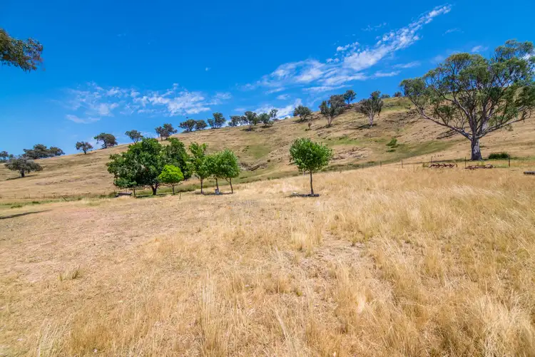 Sixth view of Homely rural property listing, 248 Grattai Creek Road, Mudgee NSW 2850