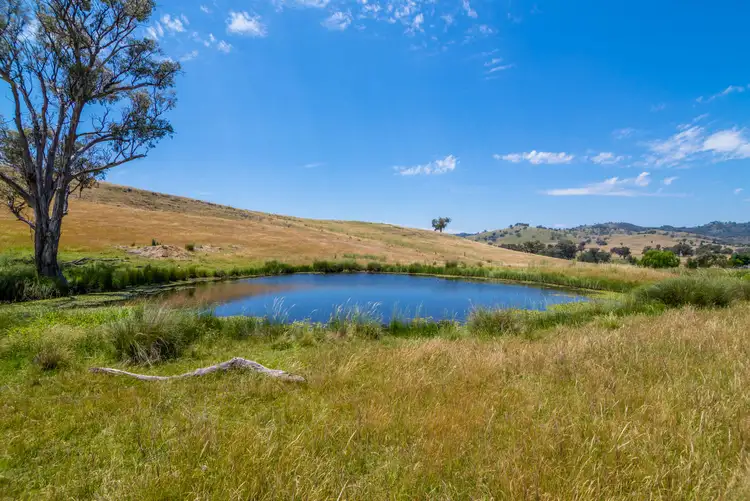 Seventh view of Homely rural property listing, 248 Grattai Creek Road, Mudgee NSW 2850