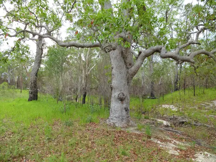 Sixth view of Homely land listing, 156 Mitchell Road, Mount Maria QLD 4674