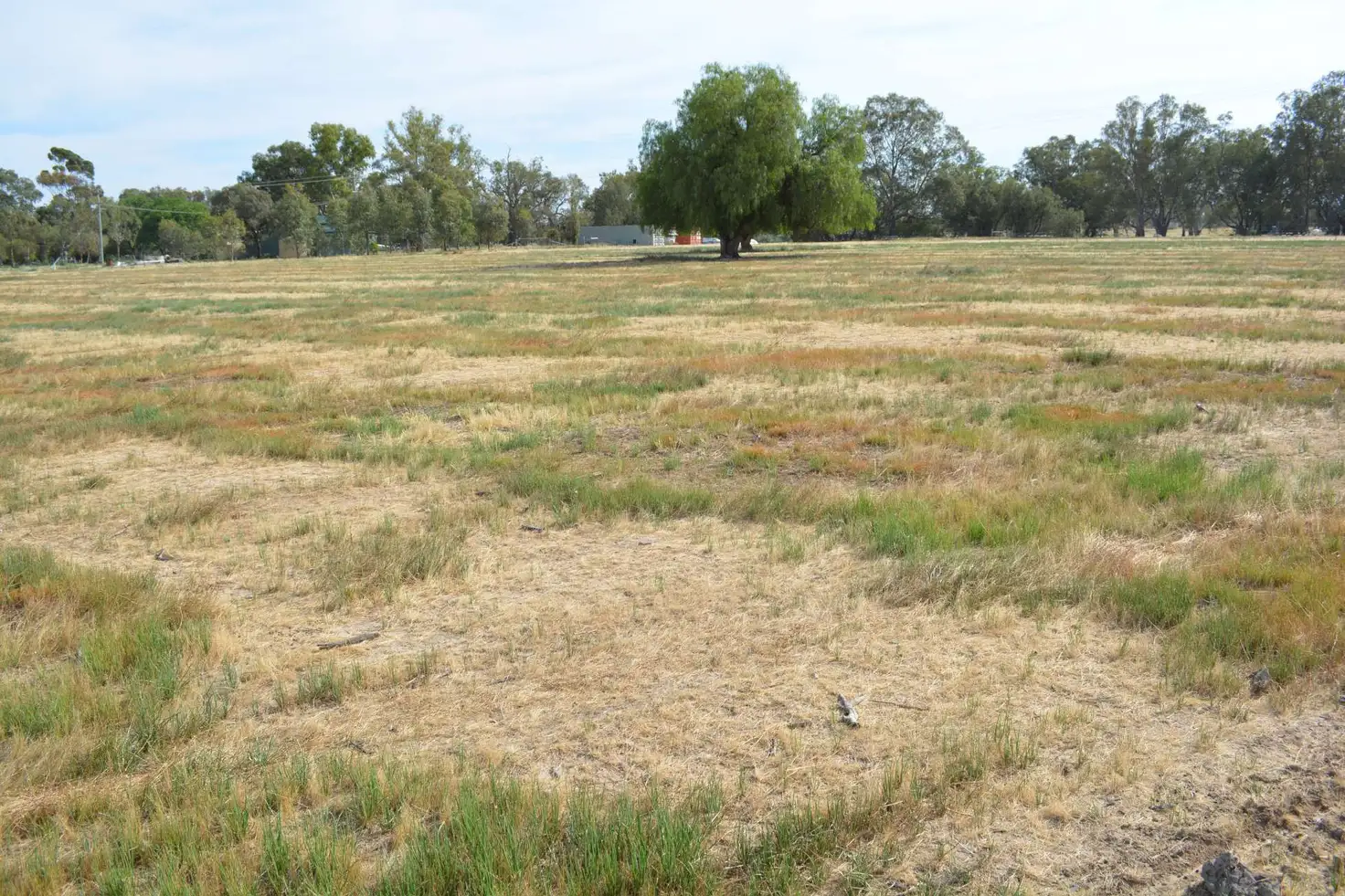 Main view of Homely land listing, 41 Dunns Road, Pomona NSW 2648
