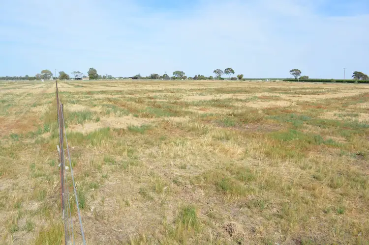 Fifth view of Homely land listing, 41 Dunns Road, Pomona NSW 2648