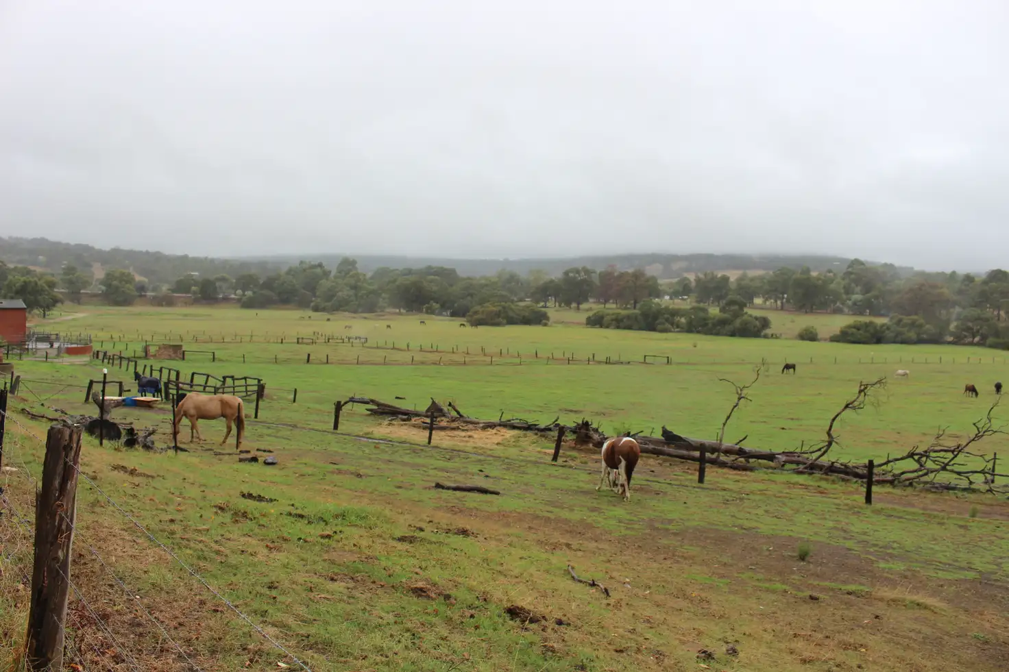 Main view of Homely land listing, 12 Watkins Road, Mundijong WA 6123