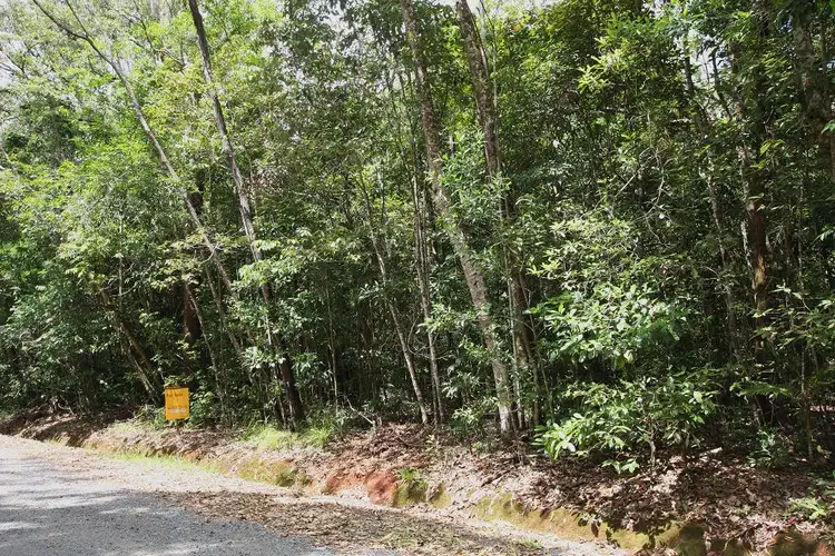 Seventh view of Homely land listing, Lot 183 Silky Oak Road COW BAY, Daintree QLD 4873