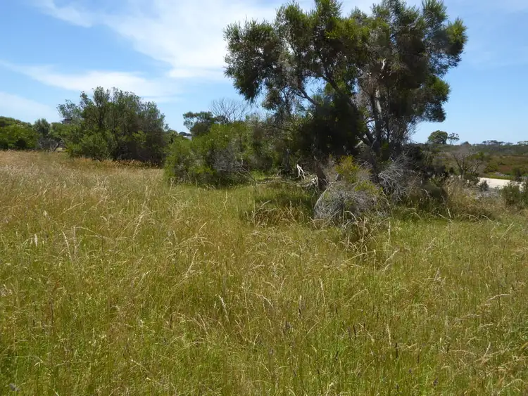 Seventh view of Homely land listing, 37 Queen Street, Port Albert VIC 3971