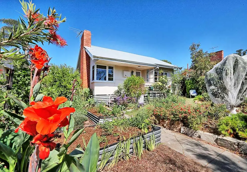 Main view of Homely house listing, 22 Grigg Place, Hilton WA 6163