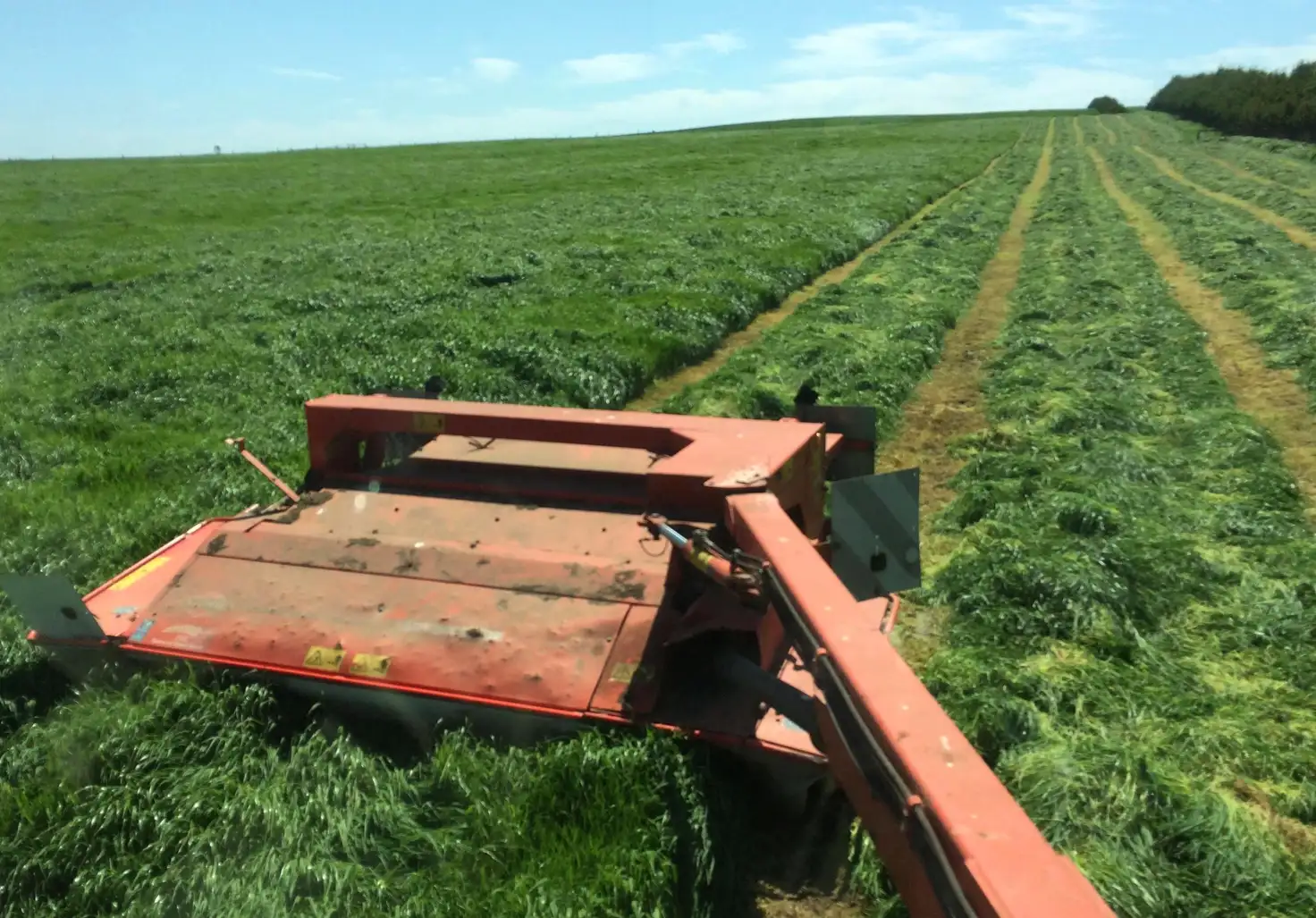 Main view of Homely rural property listing, 769 Timboon-Terang Road, Ecklin South VIC 3265