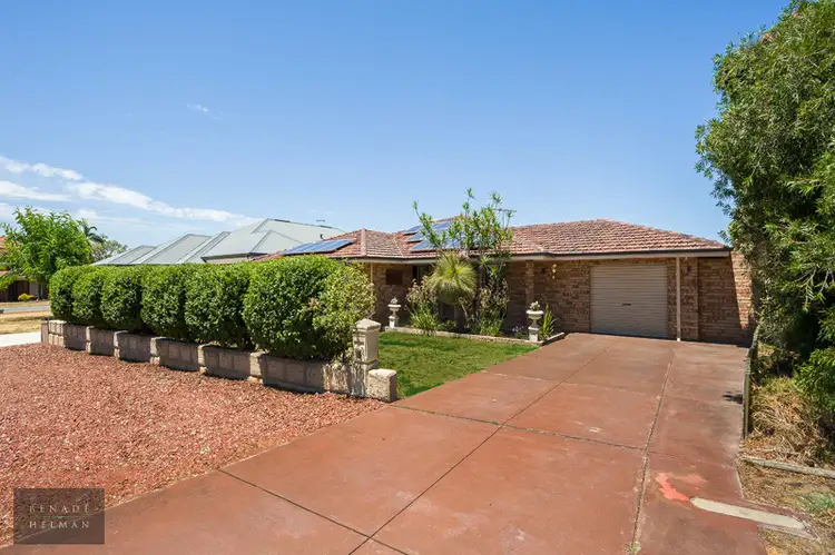 Third view of Homely house listing, 22 Donne Court, Spearwood WA 6163