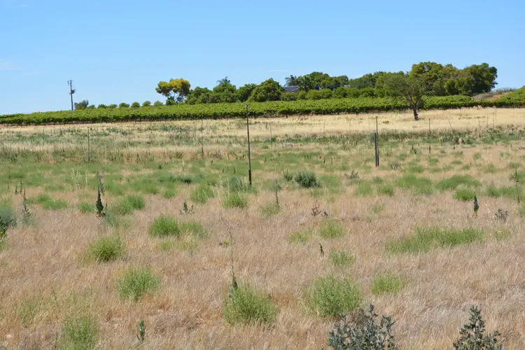 Main view of Homely land listing, 138 Cowra Avenue Extension, Irymple VIC 3498