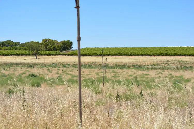Sixth view of Homely land listing, 138 Cowra Avenue Extension, Irymple VIC 3498