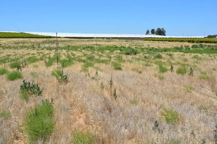 Seventh view of Homely land listing, 138 Cowra Avenue Extension, Irymple VIC 3498