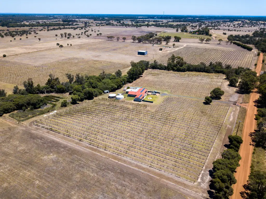 Main view of Homely rural property listing, 77 Nicholls Road, Capel WA 6271