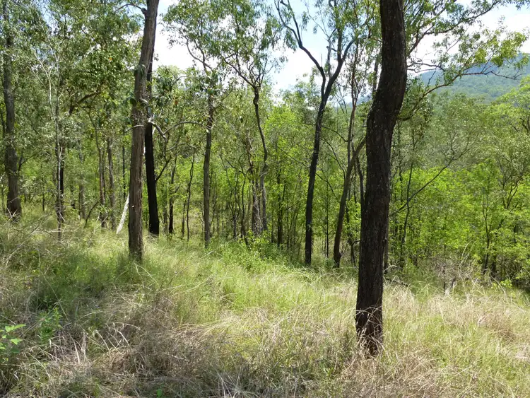 Fifth view of Homely land listing, Lot 43 Mossman Road, Miriam Vale QLD 4677