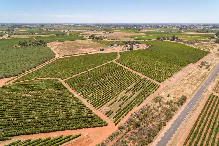 Main view of Homely rural property listing, 119 Lowan & 119 Queena Streets, Red Cliffs VIC 3496