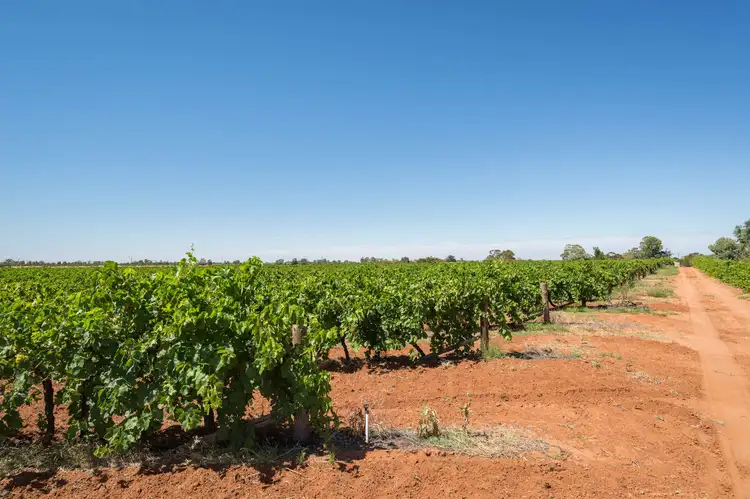 Second view of Homely rural property listing, 119 Lowan & 119 Queena Streets, Red Cliffs VIC 3496