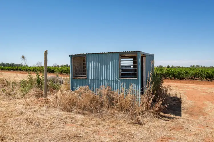 Seventh view of Homely rural property listing, 119 Lowan & 119 Queena Streets, Red Cliffs VIC 3496