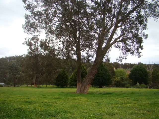 Lot 32 Henderson Road, Bridgetown WA 6255