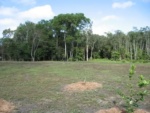 Fifth view of Homely land listing, 21 Forrest Drive, Forrest Beach QLD 4850
