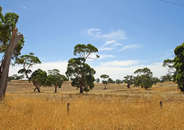 Sixth view of Homely house listing, 443 Hills Road, Padthaway SA 5271