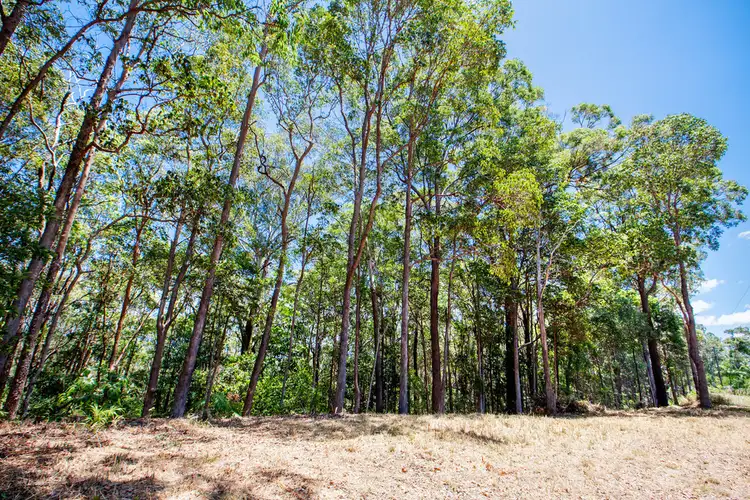 204 Upper Rosemount Road, Rosemount QLD 4560