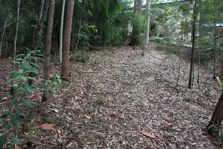 Fifth view of Homely land listing, 19 Litchfield Crescent, Long Beach NSW 2536