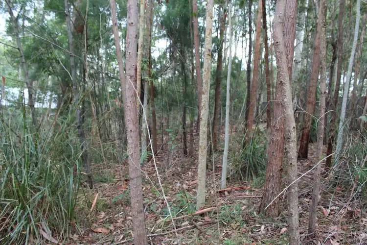 Sixth view of Homely land listing, 19 Litchfield Crescent, Long Beach NSW 2536