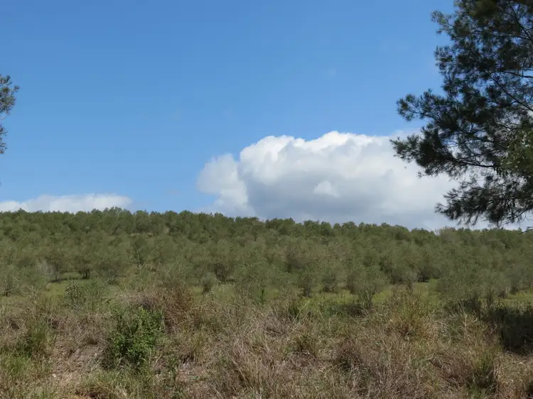 Sixth view of Homely rural property listing, Lot 9 School Lane, Mount Perry QLD 4671