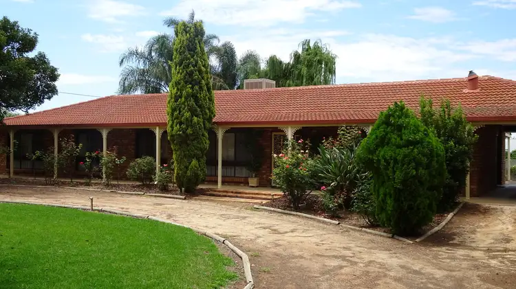 467 Chowilla Street, Renmark SA 5341