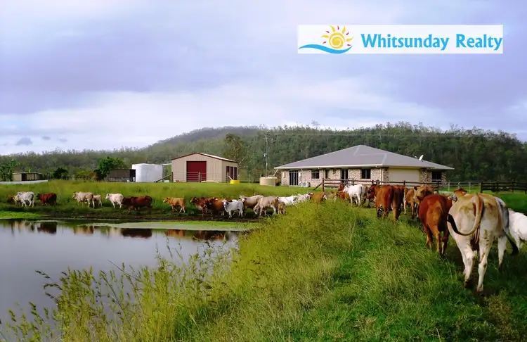 424 Exmoor Road, Bloomsbury QLD 4799