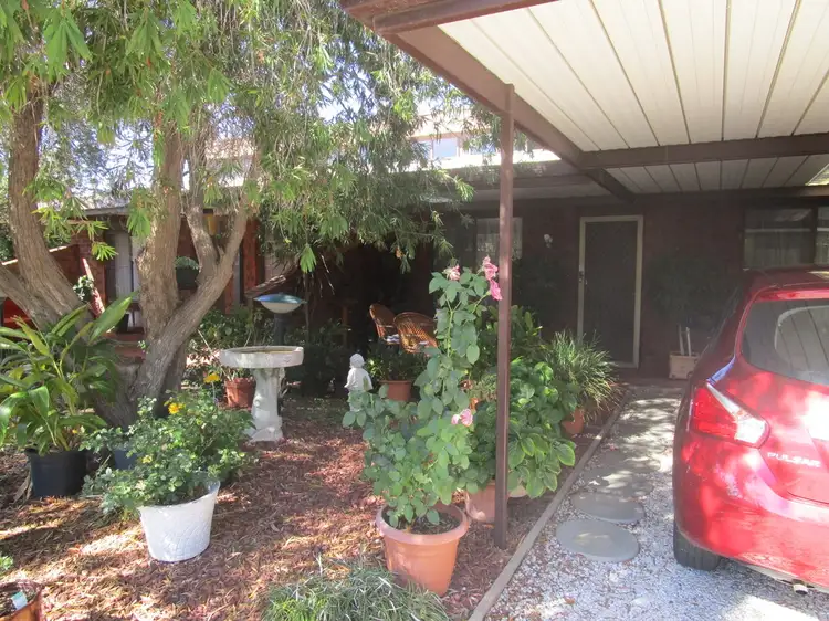 Main view of Homely unit listing, Unit 2/3 Garrard St, Barmera SA 5345