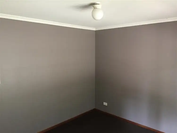 Sixth view of Homely house listing, 224 Back Sandy Gully Road, Adelong NSW 2729