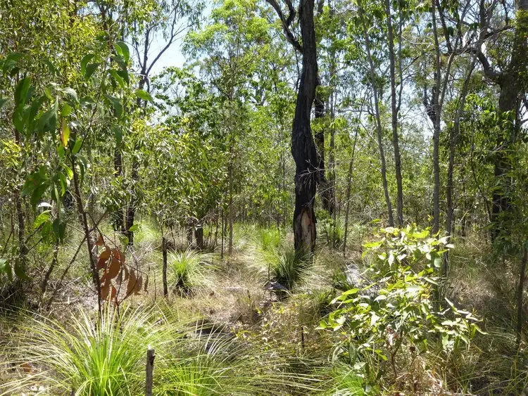 Lot 54 Tableland Road, Mount Maria QLD 4674