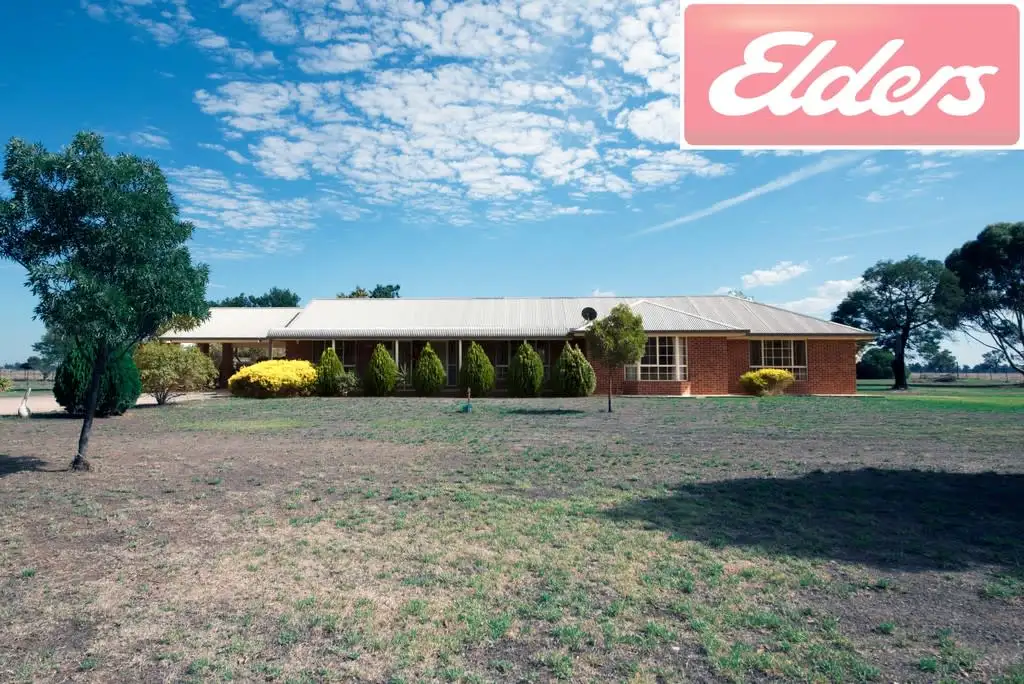 Main view of Homely rural property listing, 1390 Spring Drive, Corowa NSW 2646