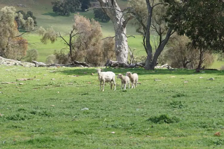 Fifth view of Homely rural property listing, Lot 2132 Moora Bindoon Road, Wannamal WA 6505