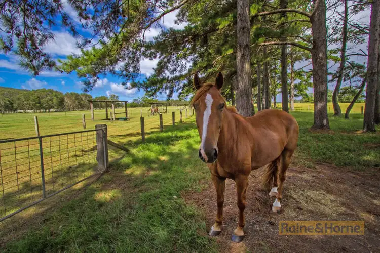 Fifth view of Homely rural property listing, 204 Kanes Road, Round Mountain NSW 2484